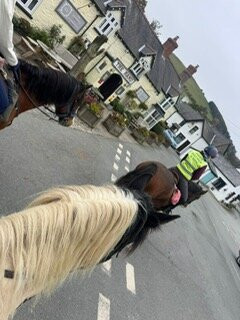 Springhill Farm Riding Stables-奥斯沃斯特必去景点