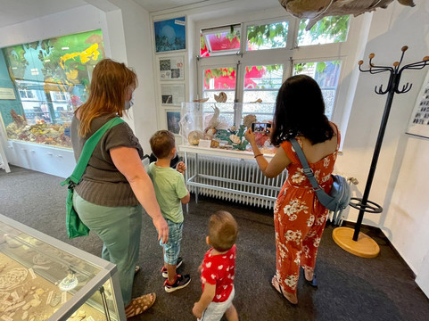 Muschelmuseum Hooksiel-Wangerland必去景点