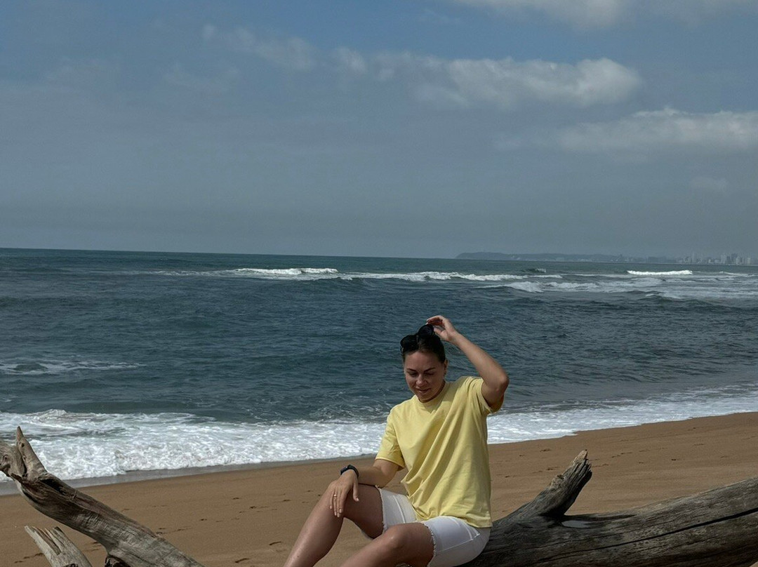 Forest Manor Boutique Guest House主图