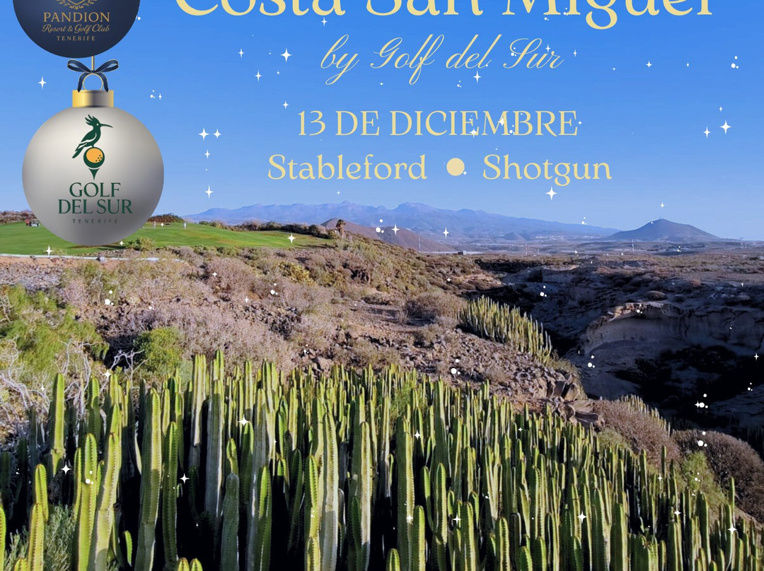 高尔夫球场区-Golf del Sur必去景点