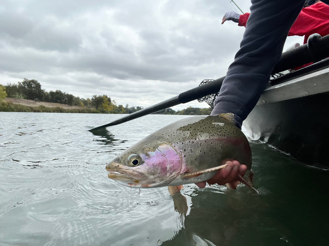 雷丁牛津套房酒店主图