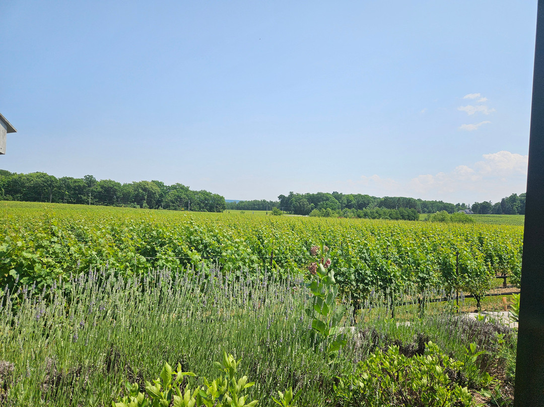 Rosewood Estates Winery-Beamsville必去景点