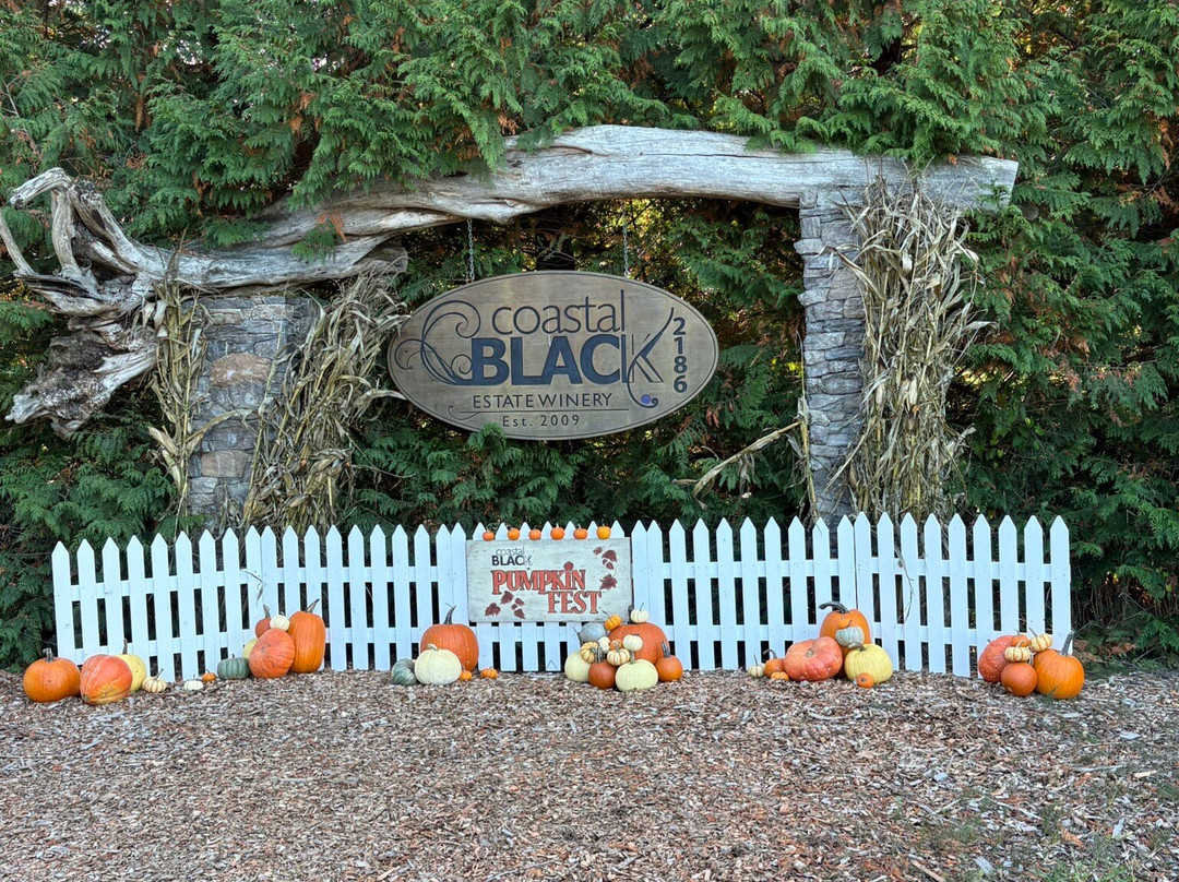 Coastal Black Estate Winery-黑溪必去景点