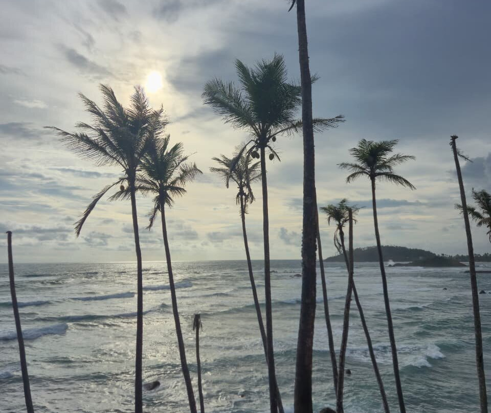 Coconut Tree Hill-美蕊沙必去景点