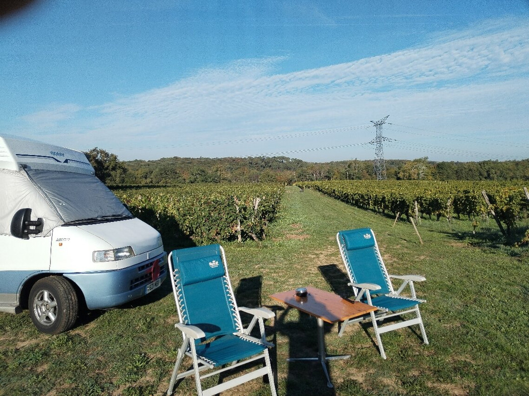 Domaine de la Grave - Vignobles Roche Teycheney-Beychac-et-Caillau必去景点