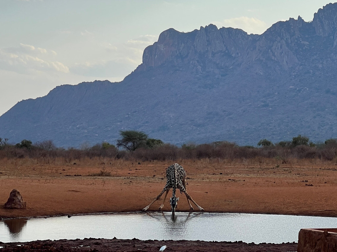 Cherish Africa Safaris-Kikuyu必去景点