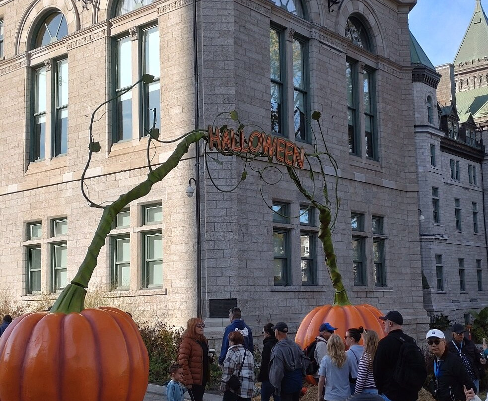 考特里尔酒店主图