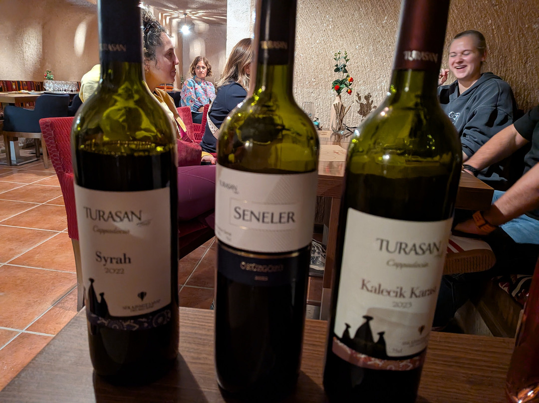 Turasan Sarapcilik-于尔居普必去景点