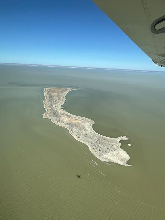 Arid Air-Marree必去景点