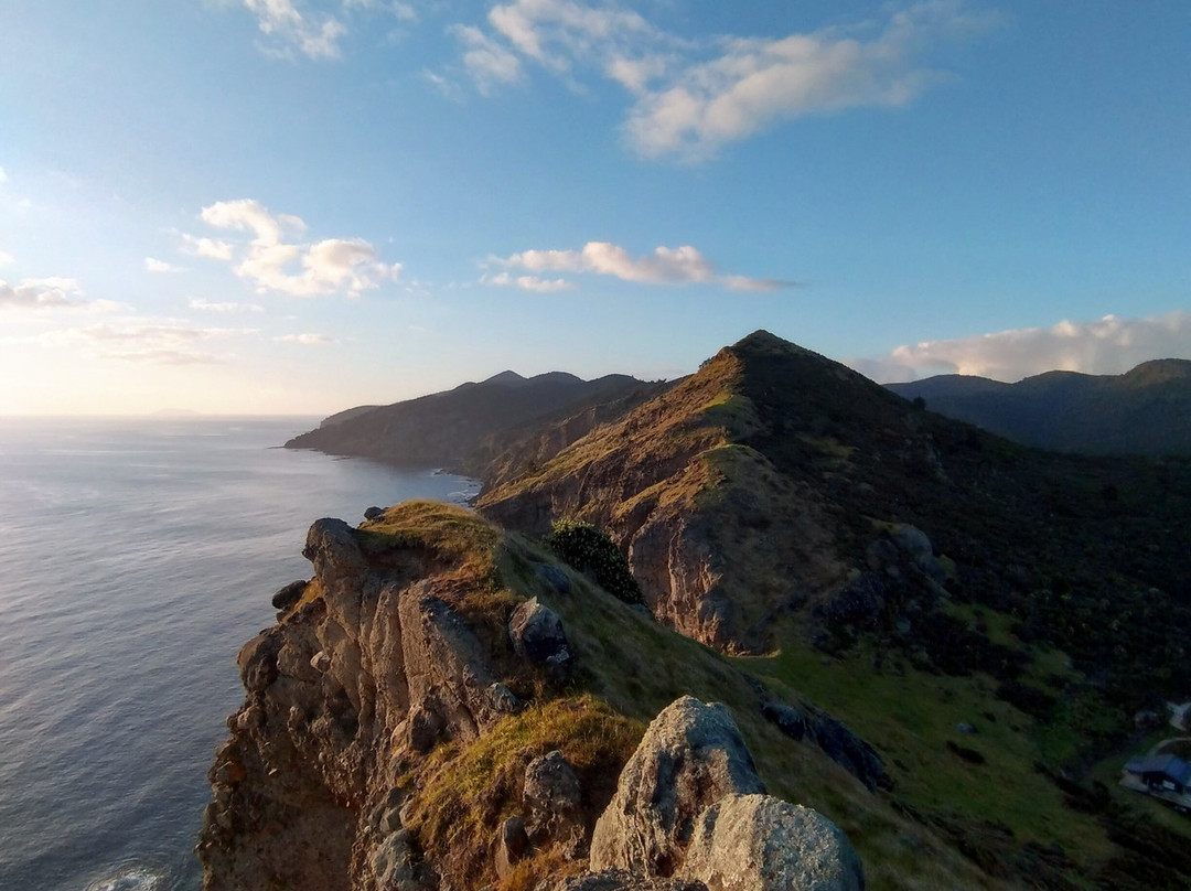 Motubikes-Great Barrier Island必去景点