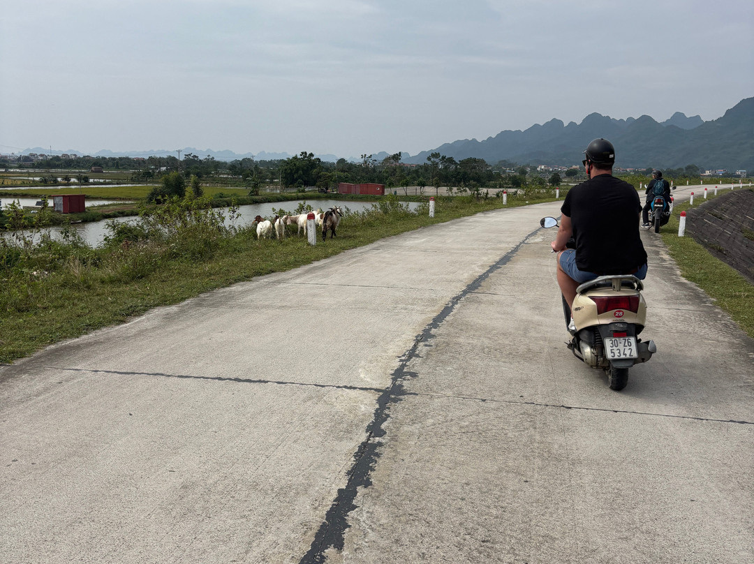 Ninh Binh Motorbike Rental-Ninh Thang必去景点