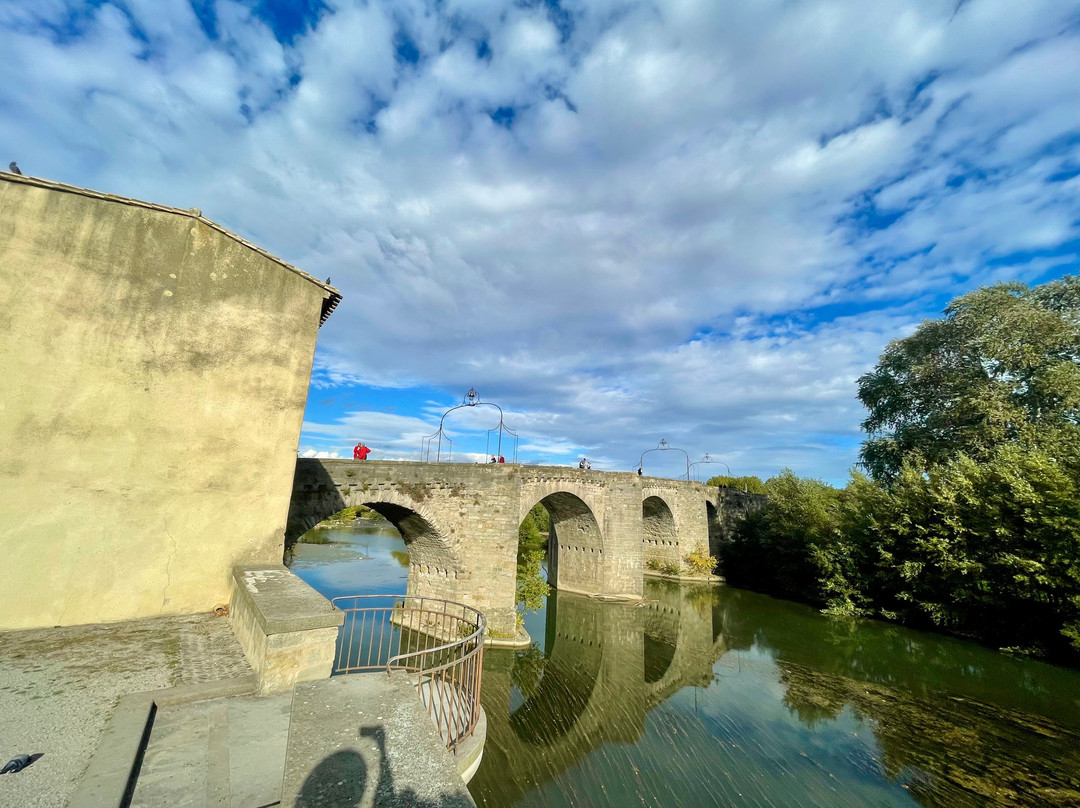 Le Pont Vieux (The Old Bridge)-卡尔卡松必去景点