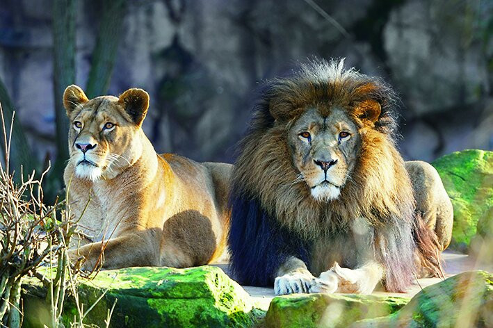 ZOOM Erlebniswelt_Official Site-Gelsenkirchen必去景点