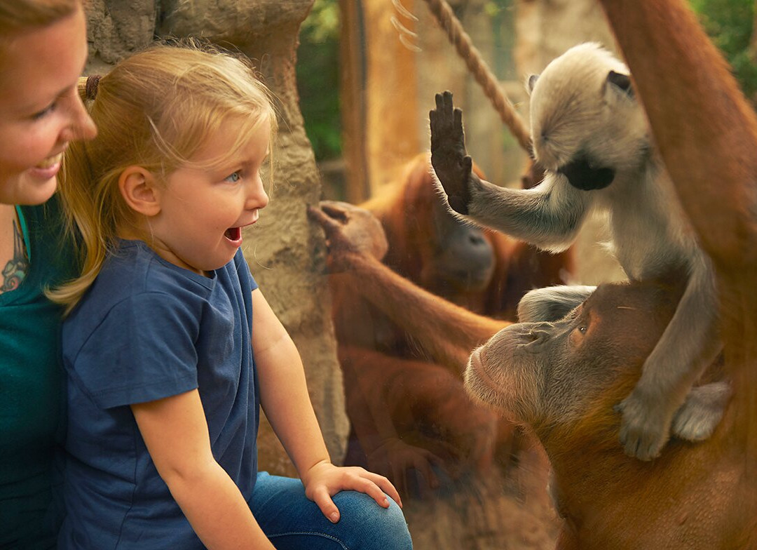 ZOOM Erlebniswelt_Official Site-Gelsenkirchen必去景点