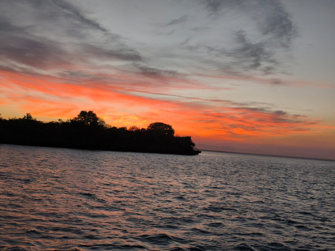 Nomadic Sails-Wasini Island必去景点