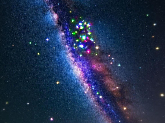 Madeira Fauna & Flora-沙尔必去景点