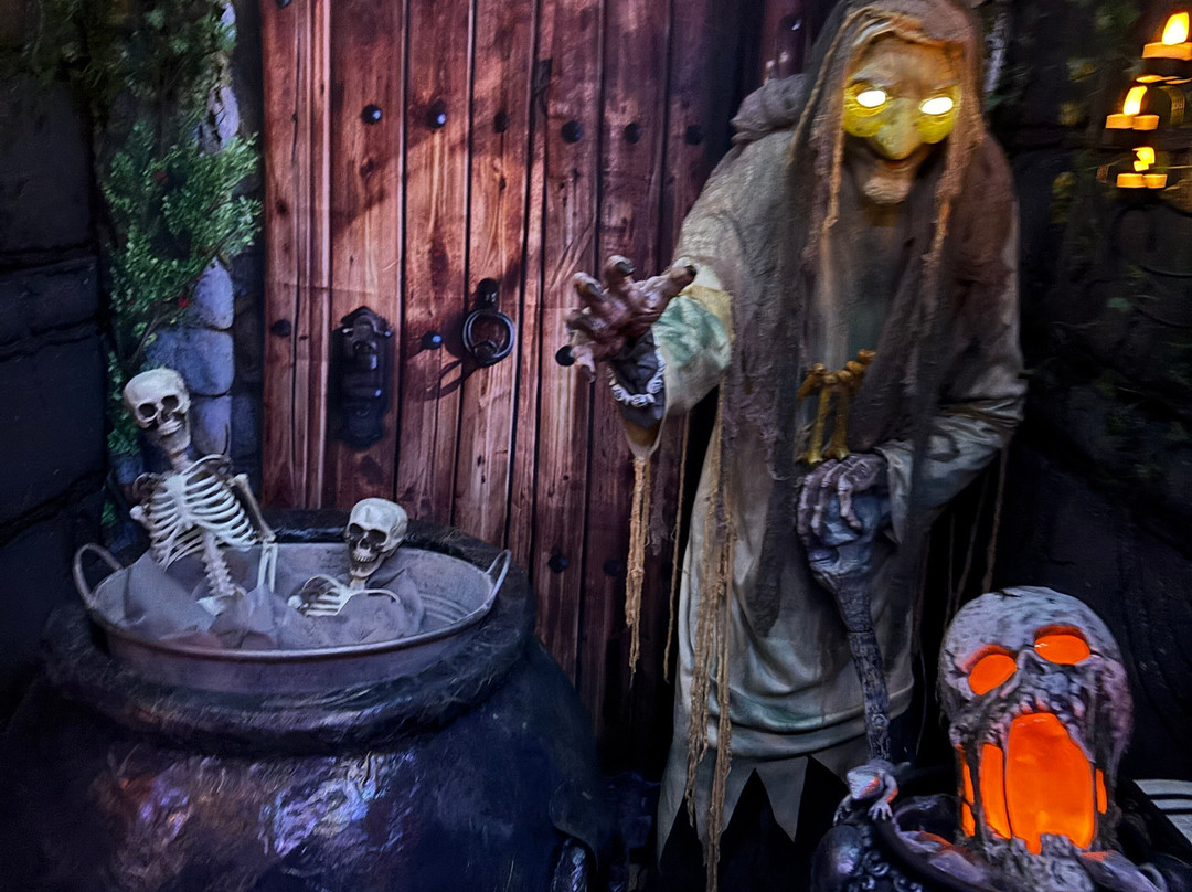 Wicksteed Park-凯特林必去景点