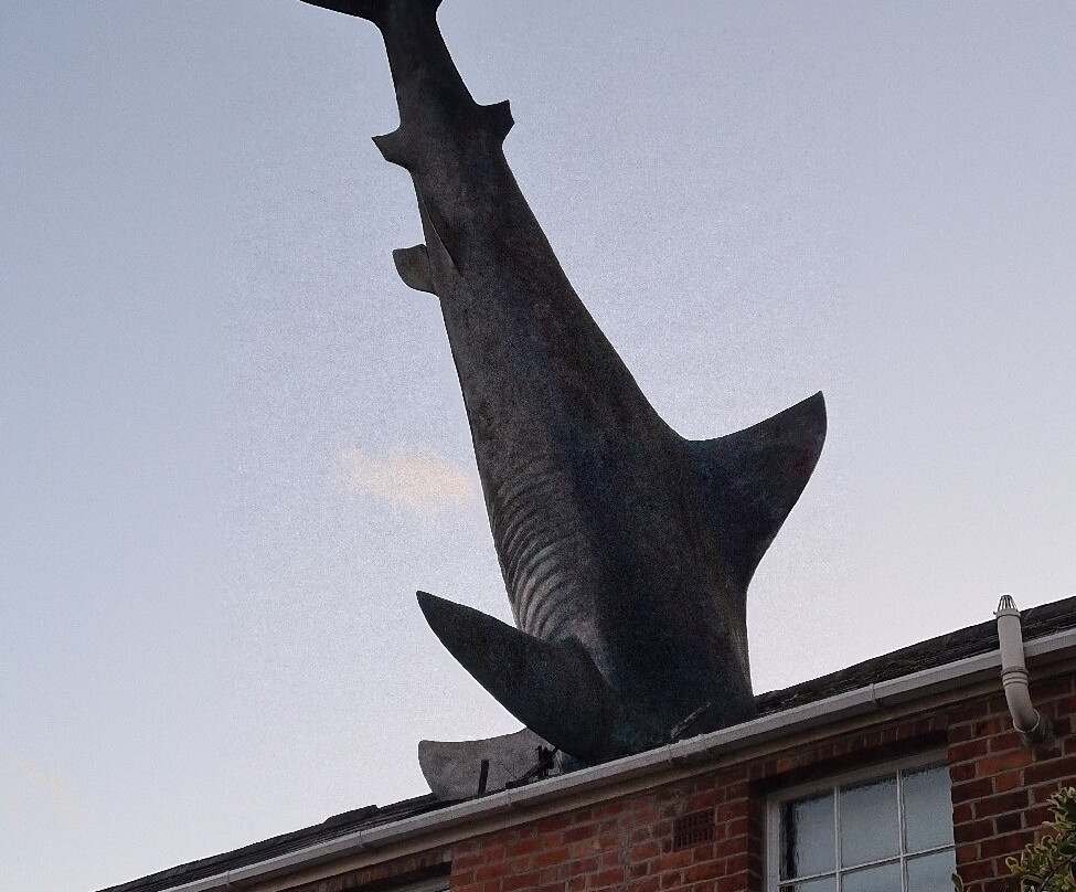 Headington Shark-Headington必去景点