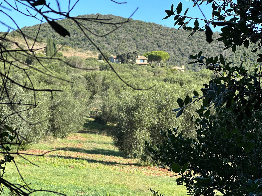 Tenuta Valle Buia主图