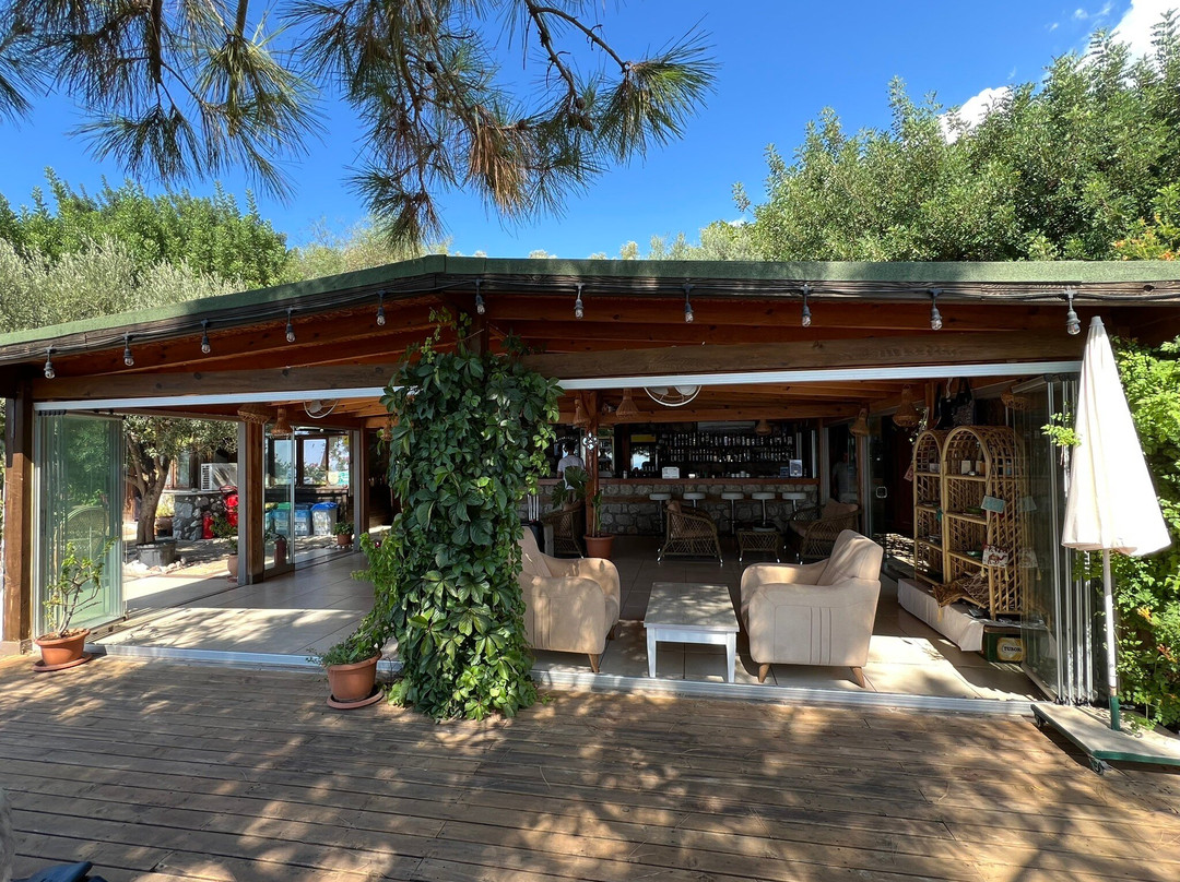 Kabak Avalon Bungalows