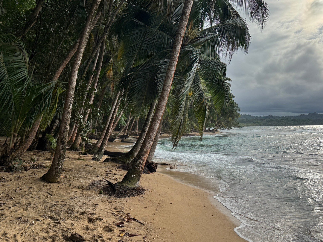 Gandoca - Manzanillo Wildlife Refuge-Province of Limon必去景点