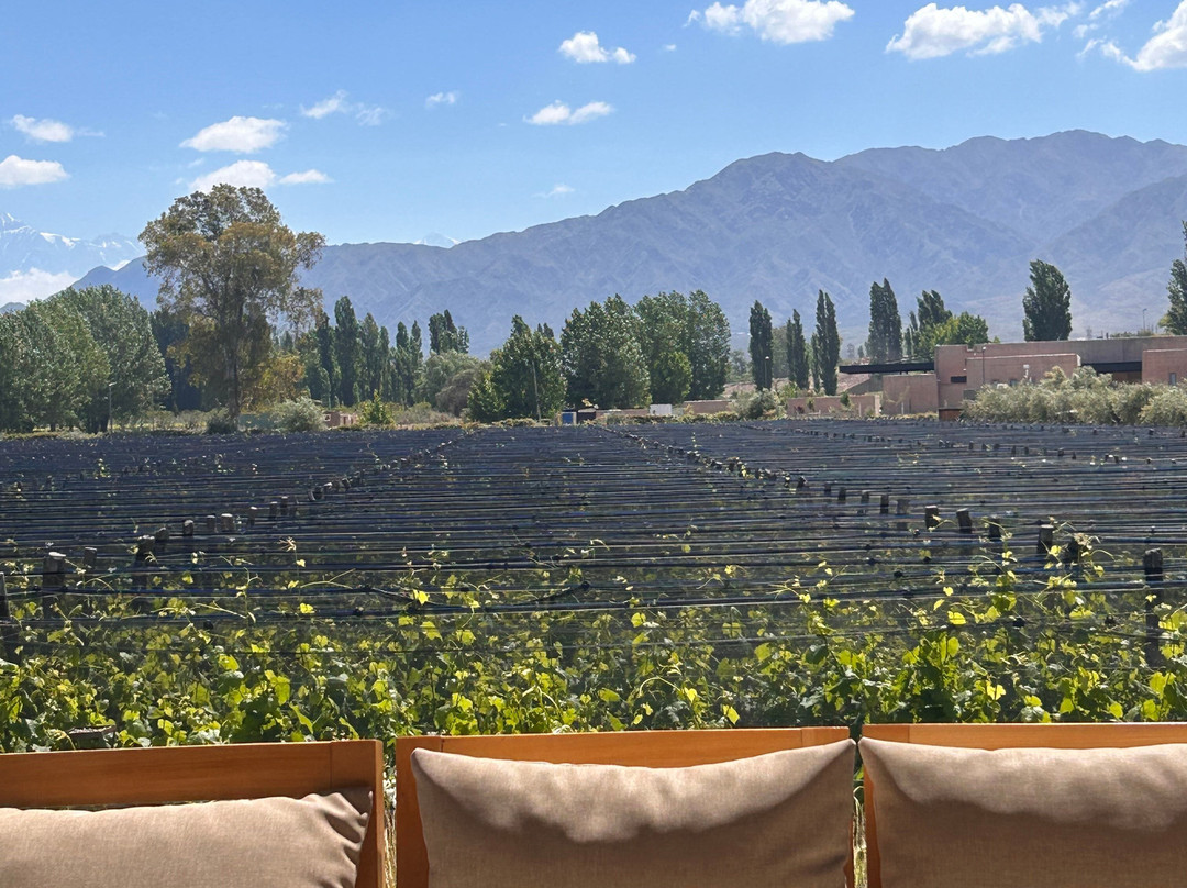 Durigutti Family Winemakers-门多萨必去景点