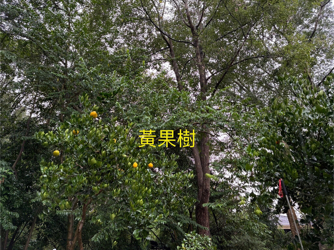 黄果树盆景园-镇宁布依族苗族自治县必去景点