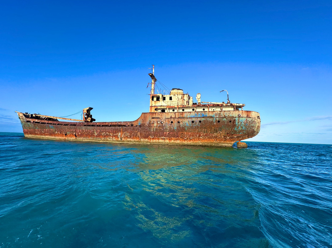 Rising Tide Tours-普罗维登西亚莱斯必去景点