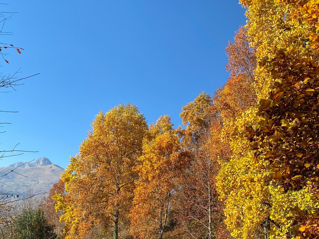 Parco della Burcina-Pollone必去景点