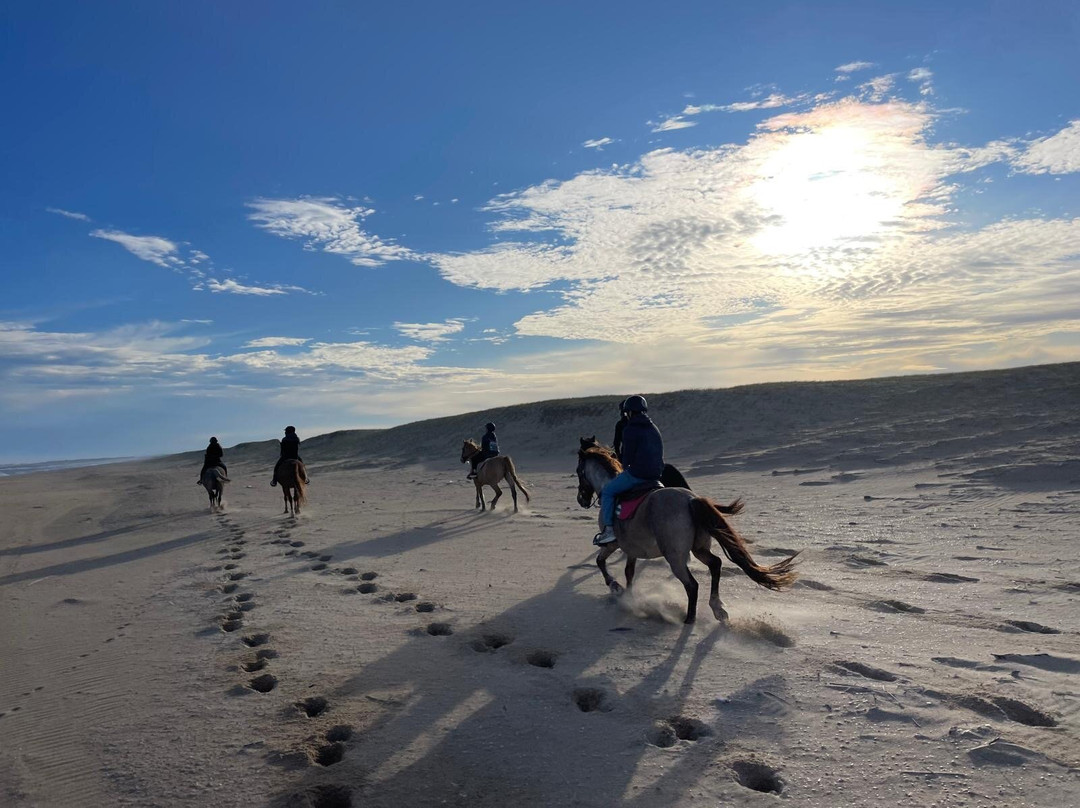 Eco Equus Cabalgatas-La Pedrera必去景点