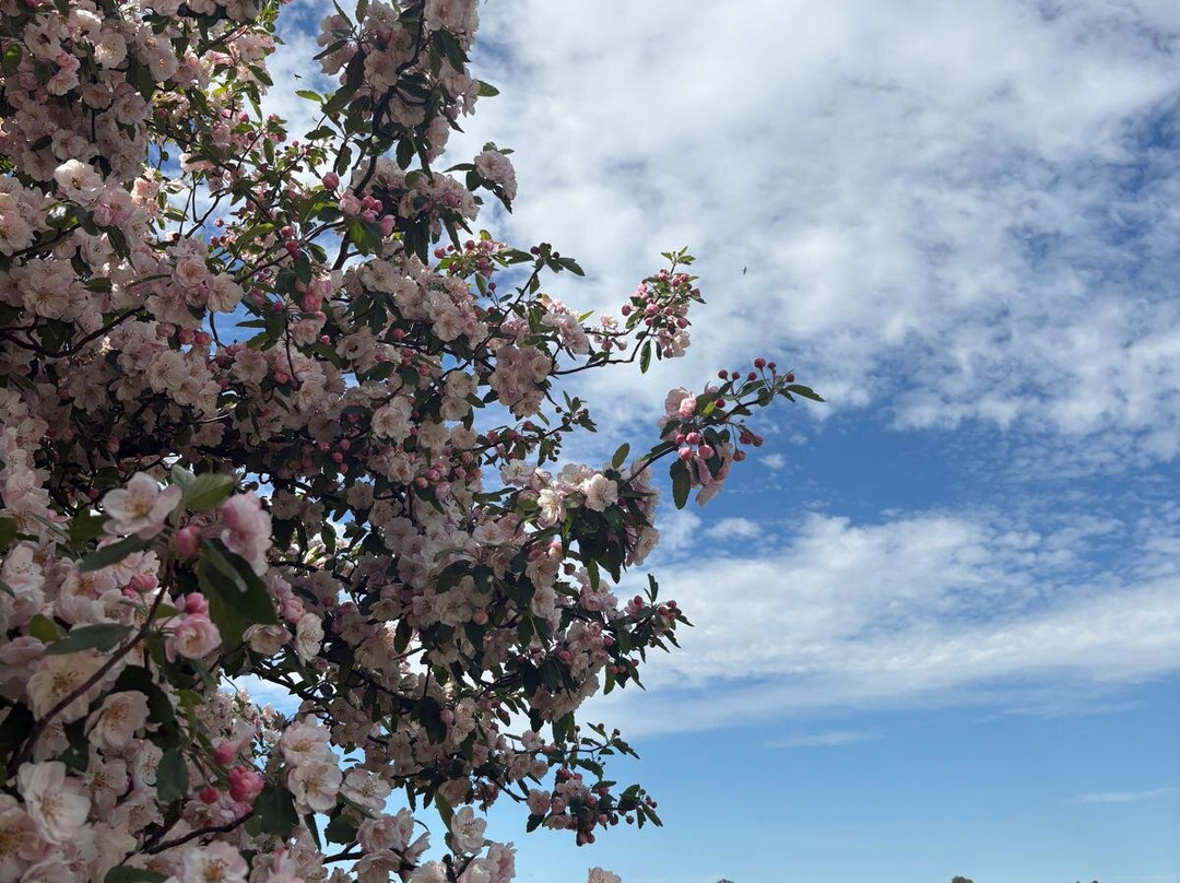 Amour of the Grape Tours-Rosebud必去景点