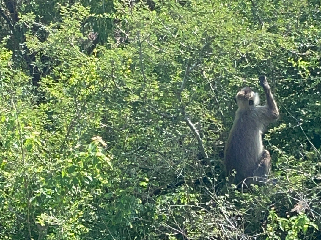Bundala Safari-Hambantota必去景点