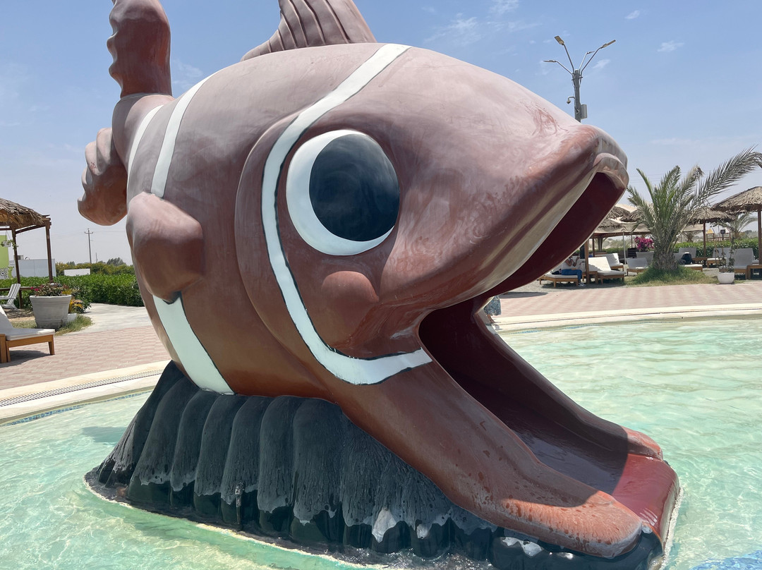 Dromedarius-伊卡必去景点