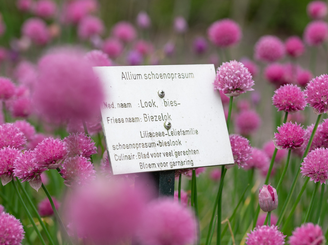 De Kruidhof Hortus van Friesland-Buitenpost必去景点