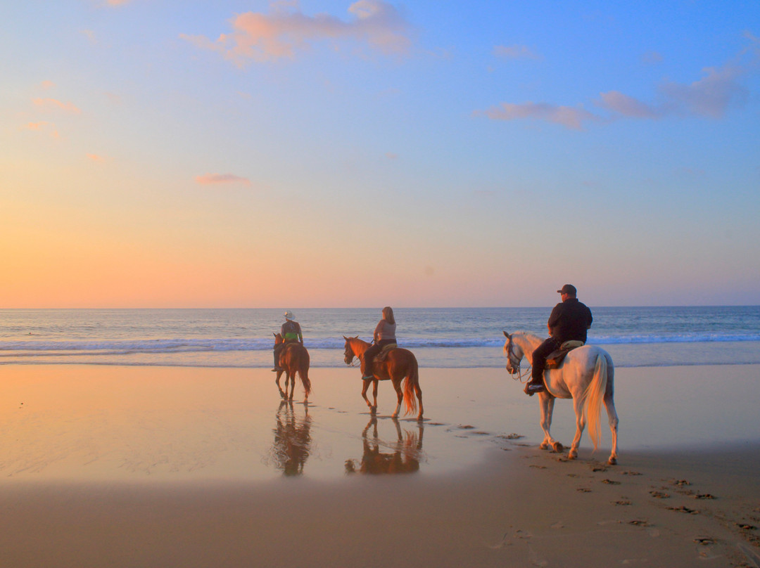 Vista Paraiso - Day Tours and Activities-Higuera Blanca必去景点