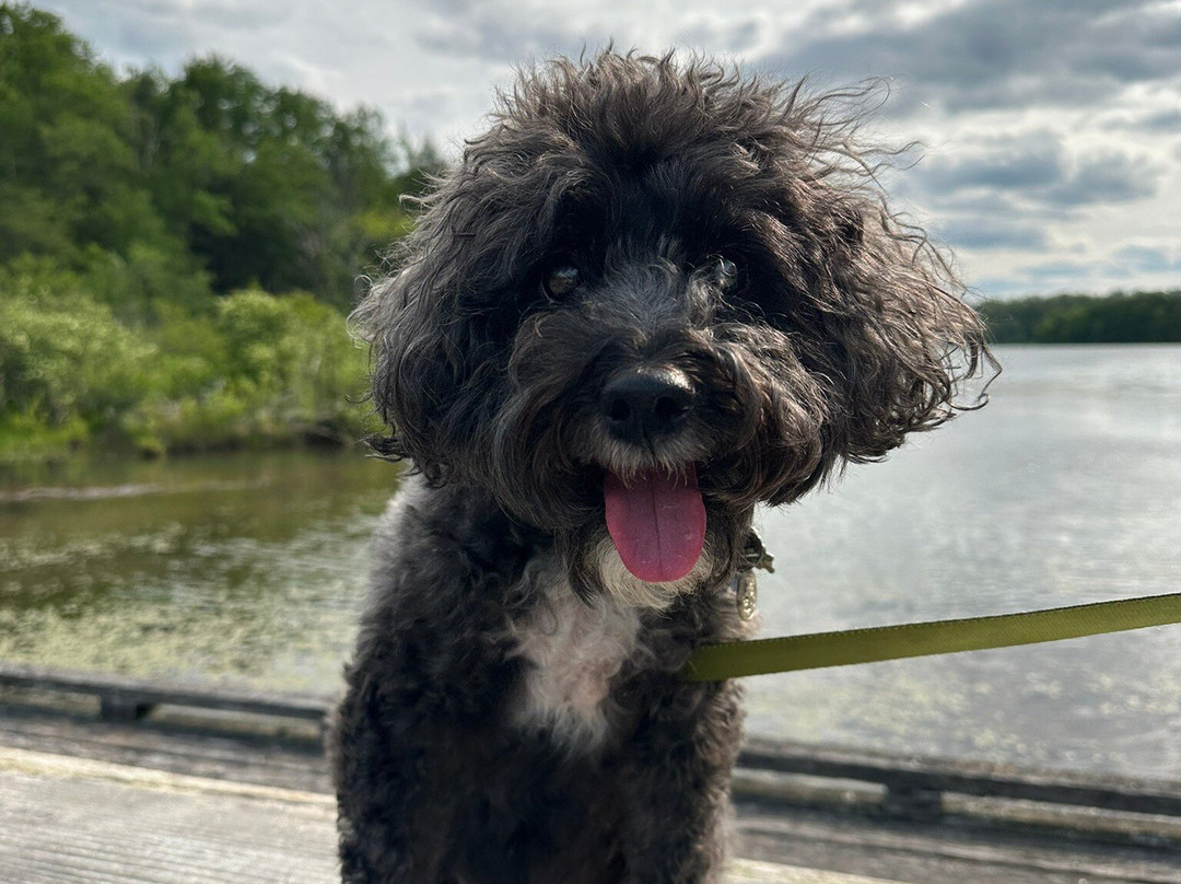 Stone Valley Recreation Area-宾夕法尼亚州学院必去景点
