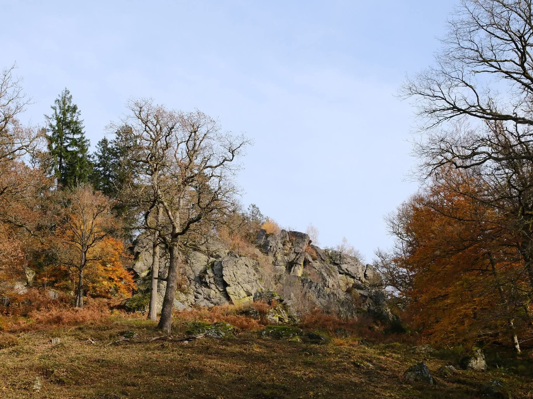 Reserve Naturelle de la Roche a l'Appel-Florenville必去景点