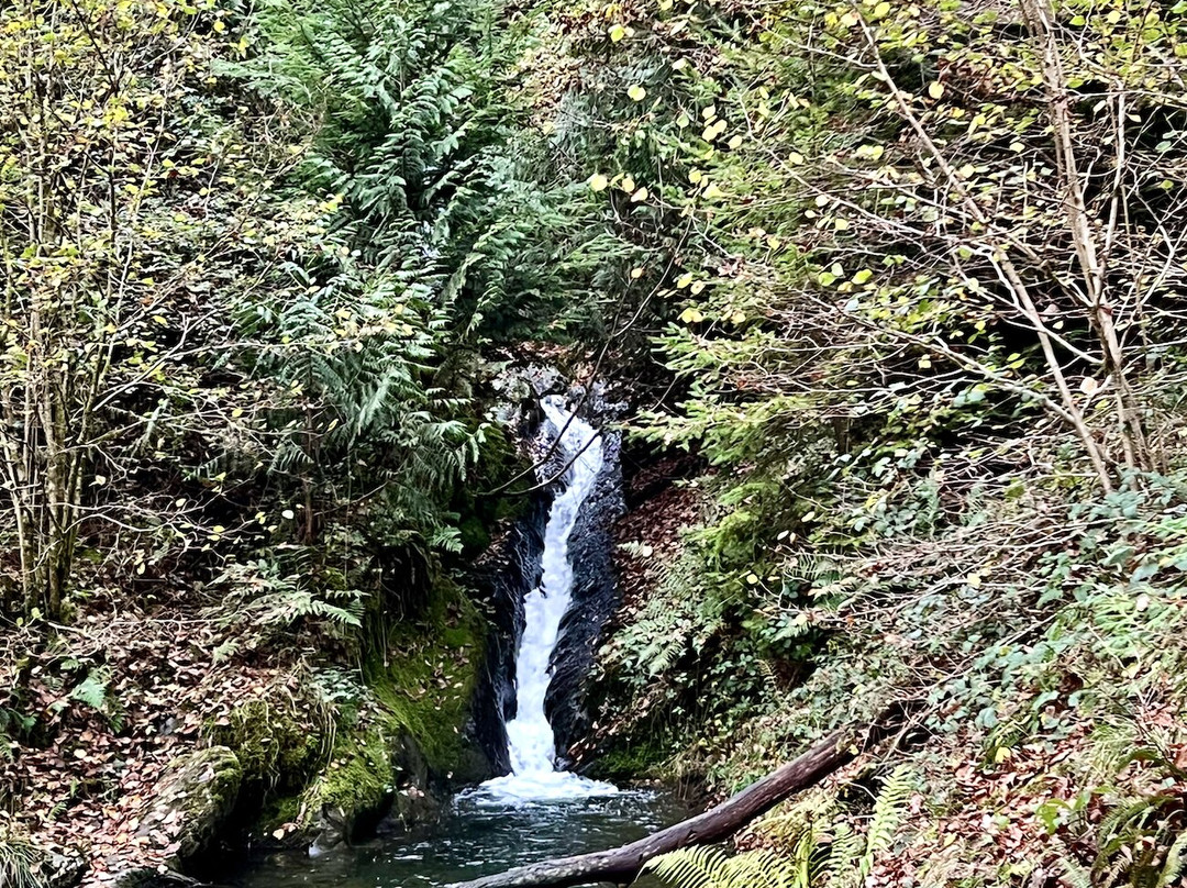 Tan Y Coed-Corris必去景点