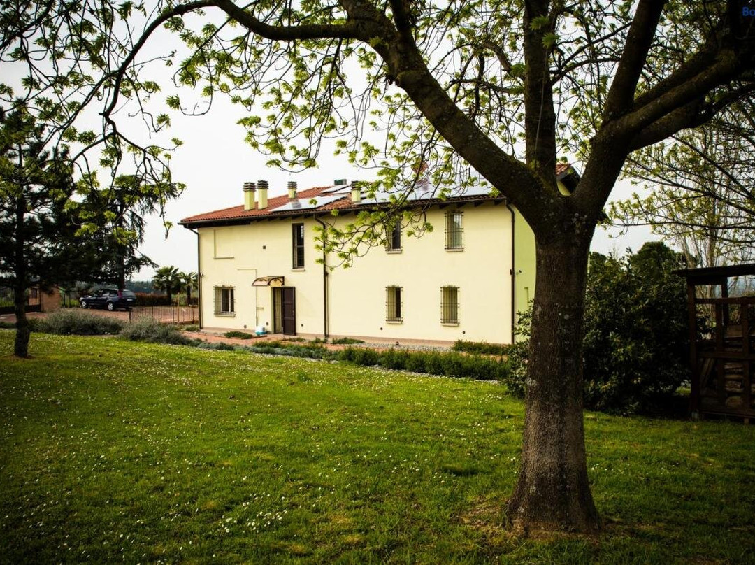 B&B Magic Dozza主图