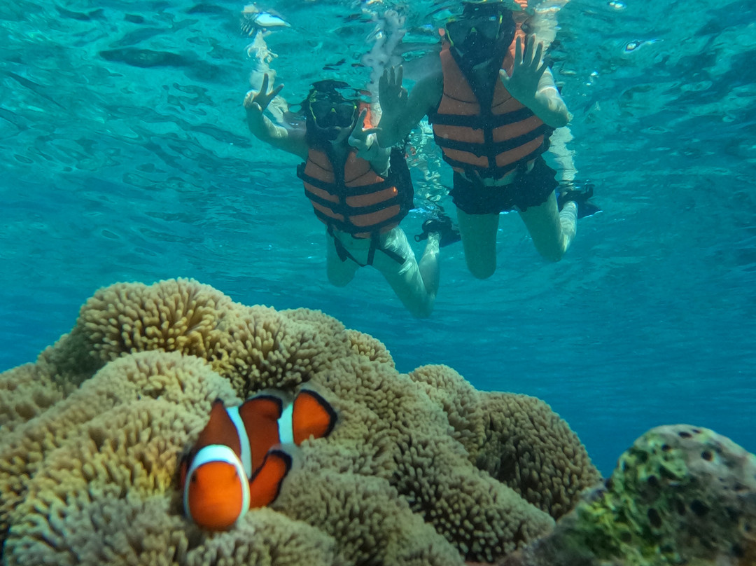 CSP Travel & Tours-宿雾市必去景点