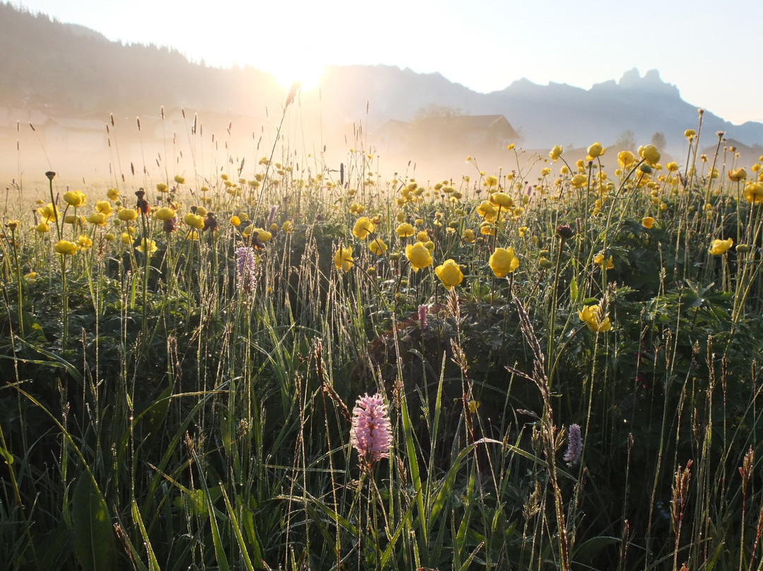 Schmieden酒店住宿-Wanderpension Garni Rief