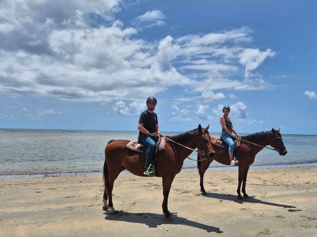 Cape Trib Horse Rides-Cape Tribulation必去景点