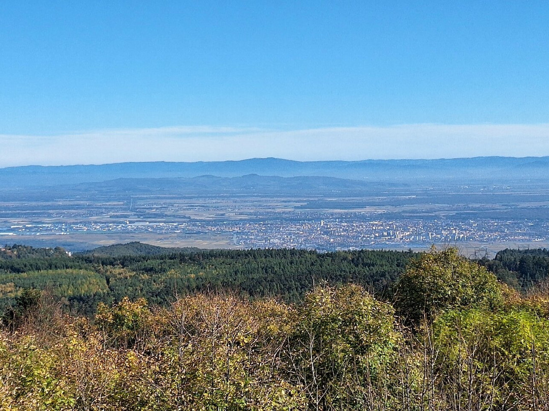 Hotel De La Poste主图