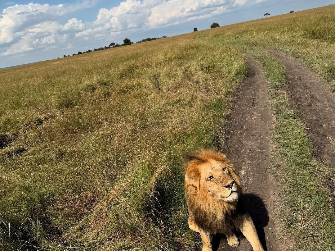 DISCOVERY OUTDOORS KENYA-Langata必去景点