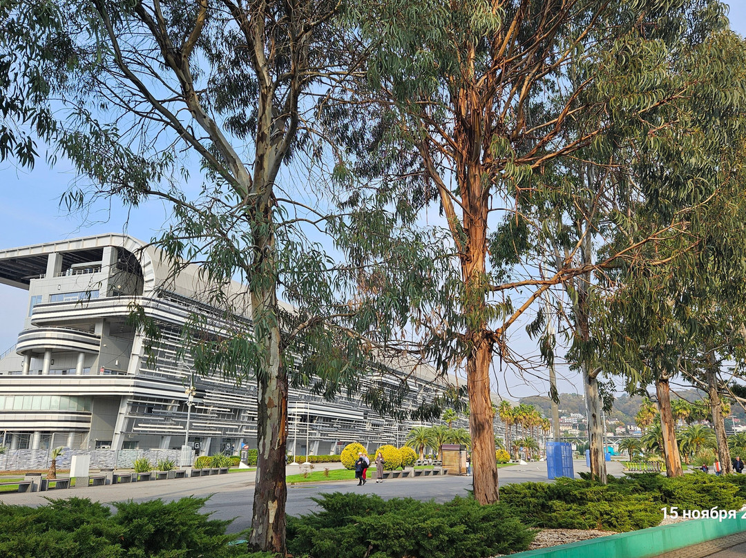 Sirius Autodrom-Sirius必去景点