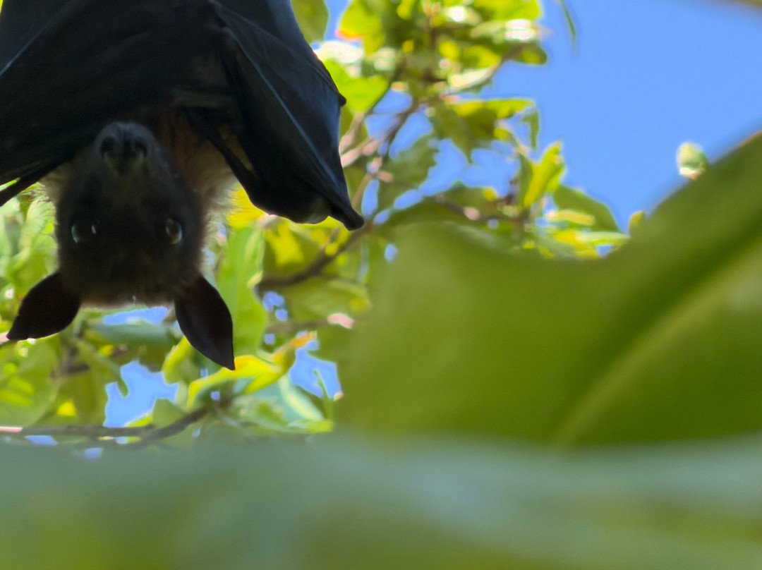 Hurawalhi Maldives-Hurawalhi必去景点