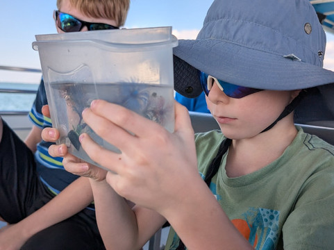 Sarasota Bay Explorers-萨拉索塔必去景点