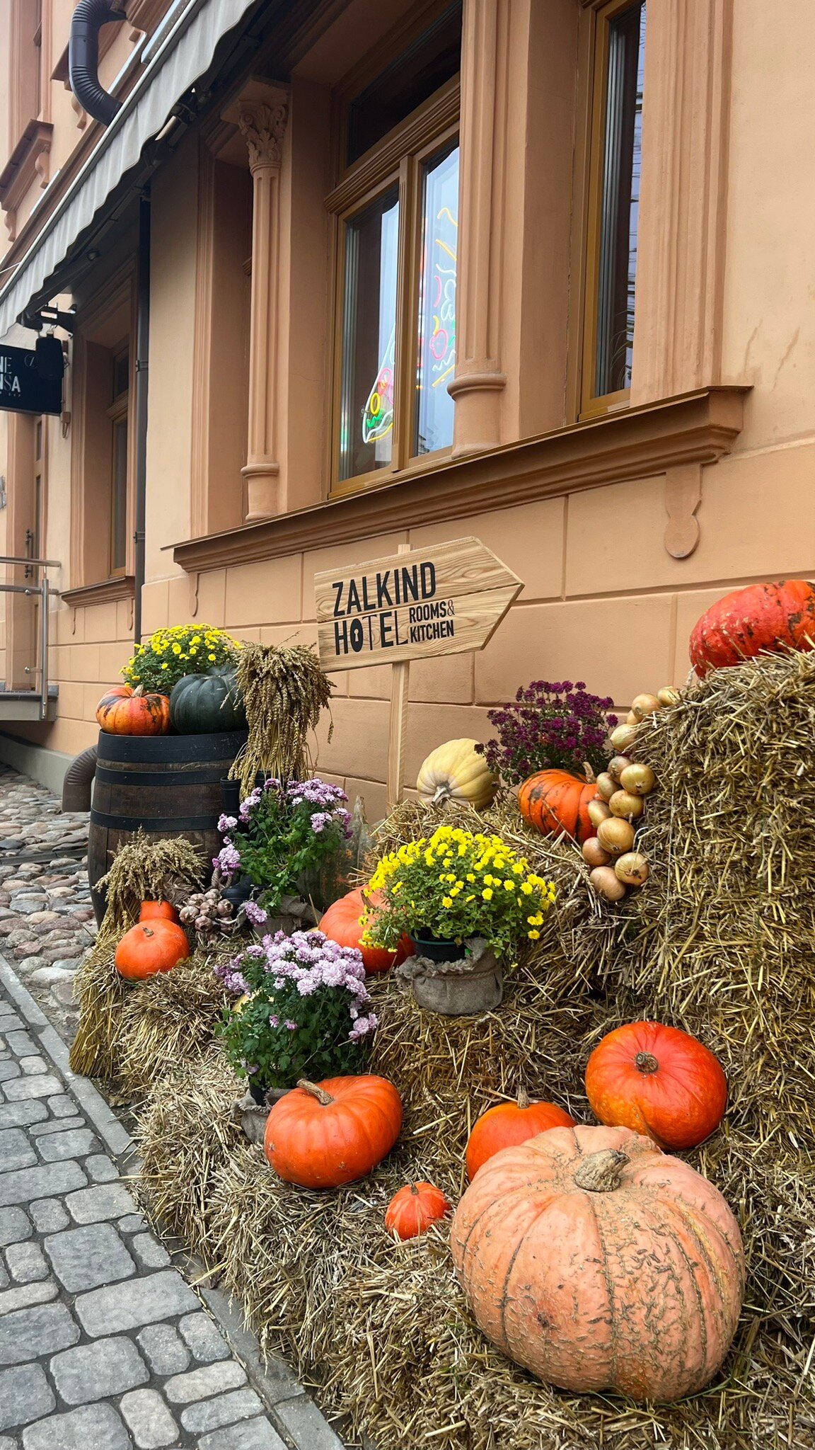 Zalkind House-官方