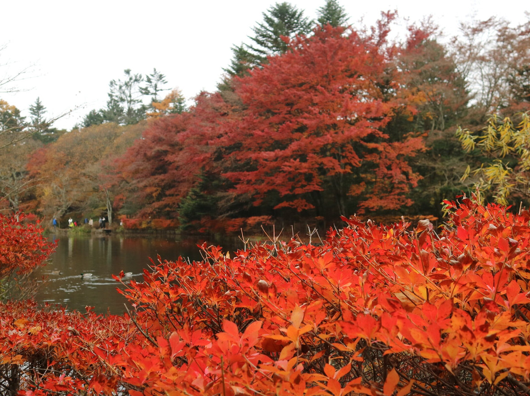 云场池-轻井泽町必去景点