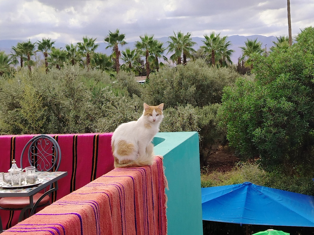 ANIMA André Heller Garden-马拉喀什必去景点